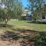 Tuta Polaca