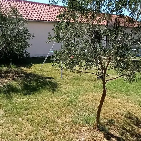 בית נופש Tuta